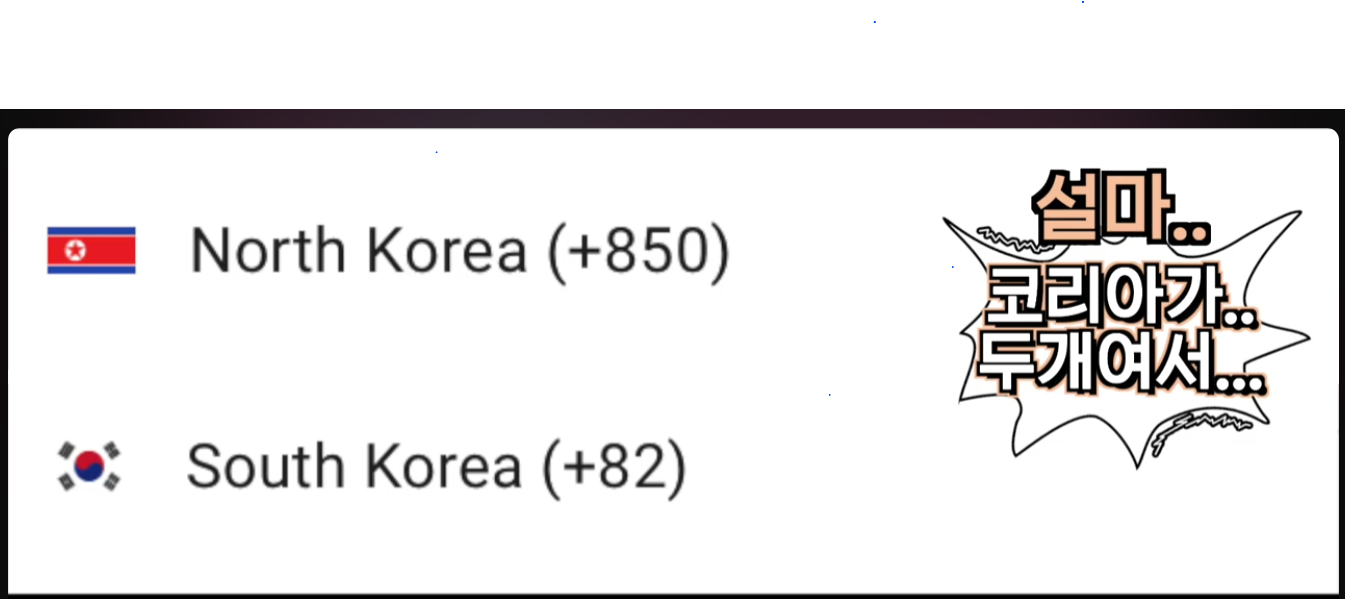 남한과 북한 국가번호 선택 장면